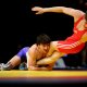 FS 66KG AUT-ARM-2